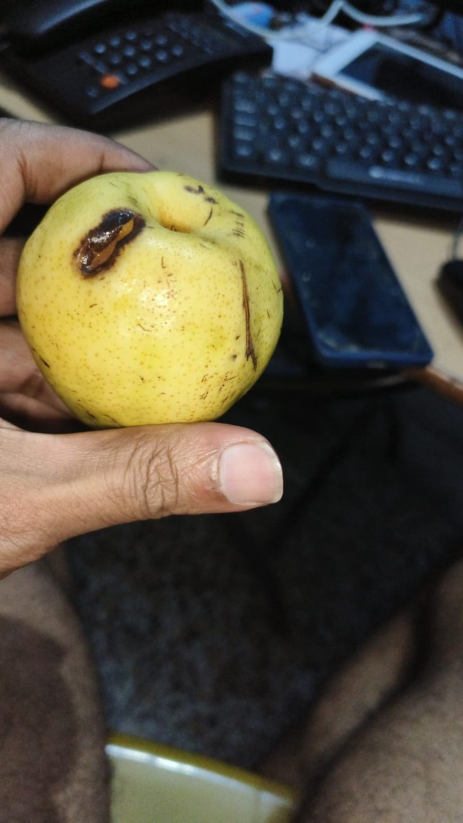 lovelybiku's tweet photo. @flipkartsupport 1 pear and 50 percent of the pointed gourd is stale. Your app is not good , unable to post it there .order id-OD438335984470614500 https://t.co/fQo3fda39t