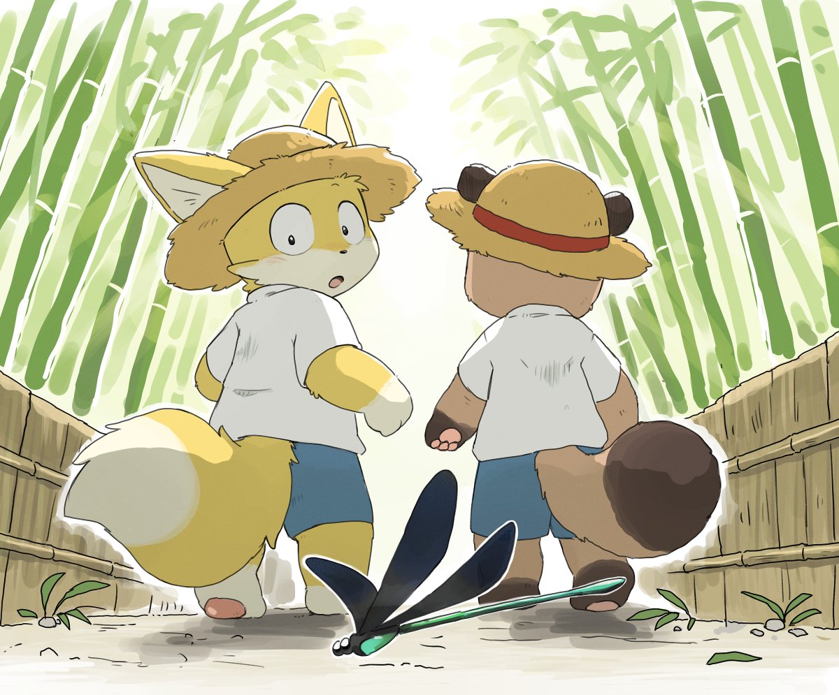 will_javaTanuki tweet picture
