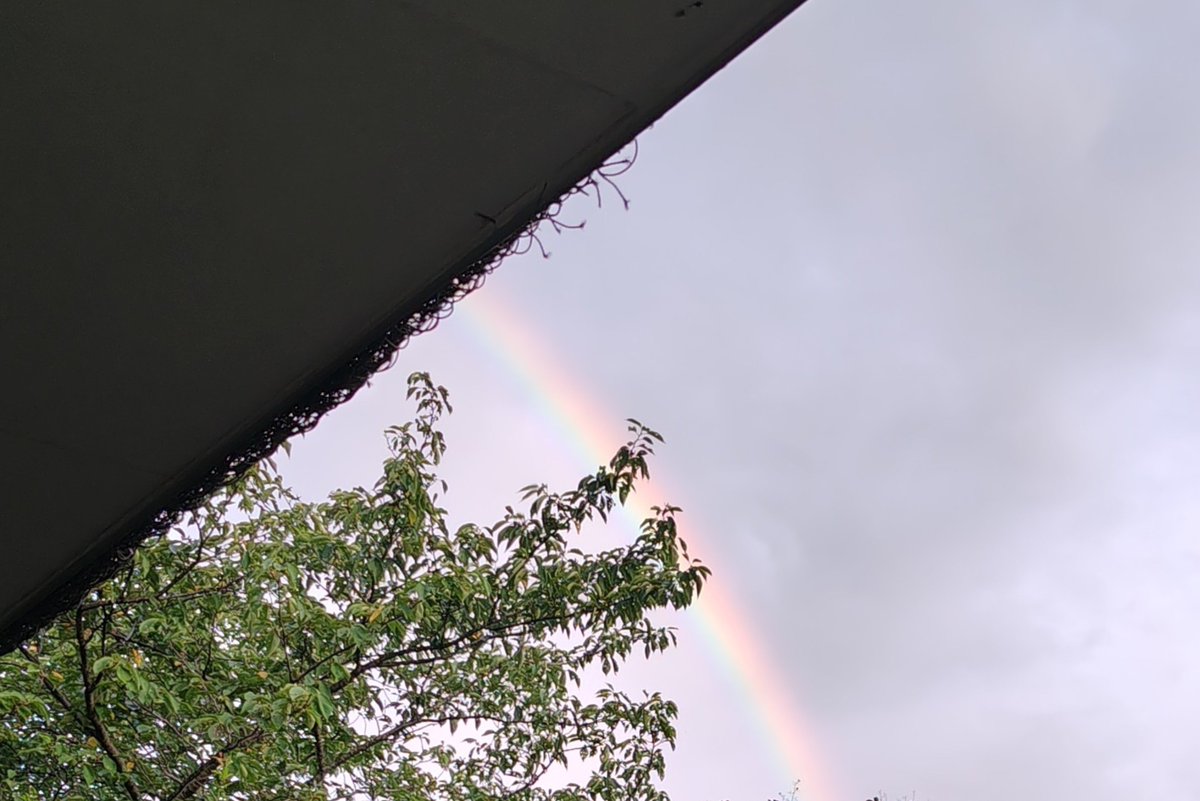 tsukune4649's tweet photo. 何年ぶりに虹を見たんだろう🌈 https://t.co/4dkOxnaiWd