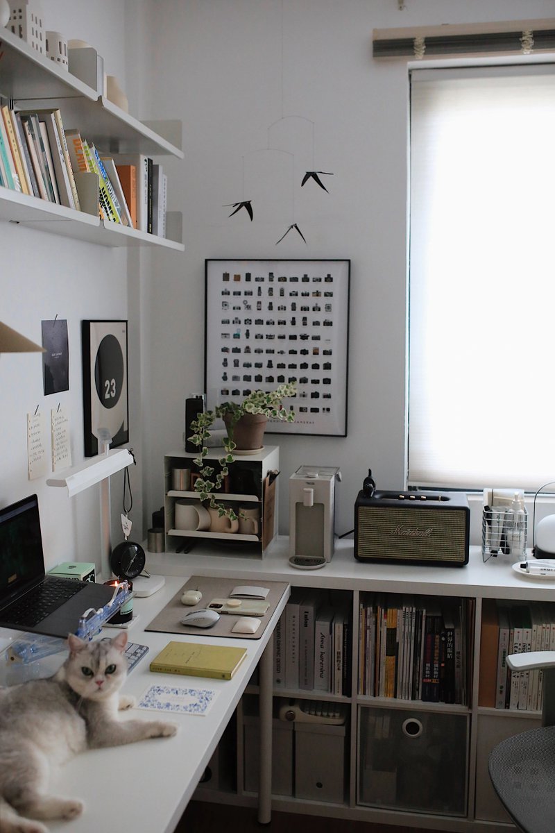 Palbertk's tweet photo. Transforming my cluttered desk into a cozy, productivity-focused nook today—small touches (plant + wireless charger + minimal stationery) make all the difference for focused work! https://t.co/IhCT3PriVF