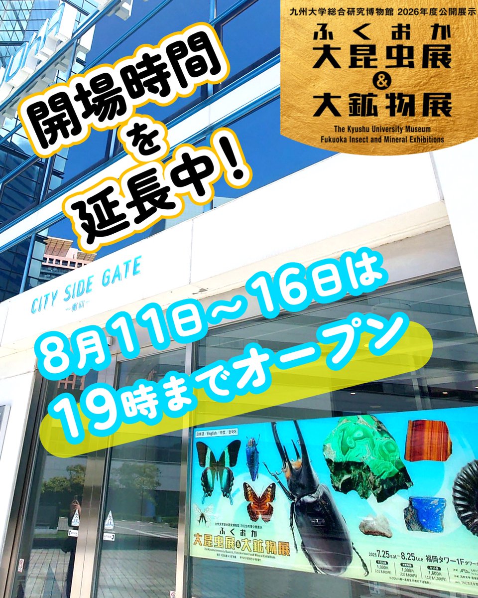 九州大学総合研究博物館 on X: 