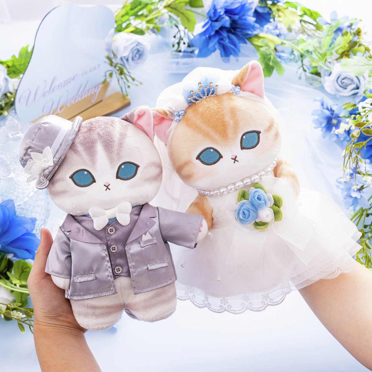 mofusandもふもふマーケット公式 (@mofusand_market) / Highlights / X