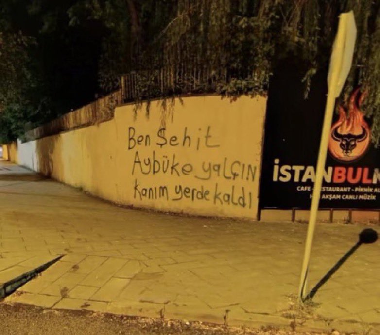 TurkcuPaylasim's tweet photo. Erzurum’da, PKK ile yürütülen sürece tepki gösteren bir grup genç, duvarlara şehitlerimizin isimleri yazdı:

“Ben Aybüke Yalçın, kanım yerde kaldı…” https://t.co/6UF3CwVTn9