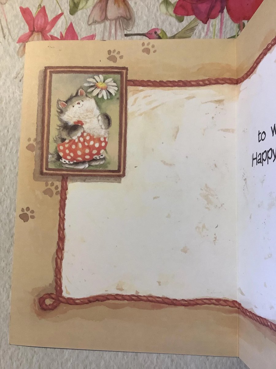 WatsonsVintage's tweet photo. ONLY TWO LEFT NOW! What a cutie! Rare Vintage Circa 1990s Birthday Card with an ADORABLE Cat holding a Daisy Design by Margaret Sherry - Decorated Inside - Cat Lover Card https://t.co/7TuvkYwncR via @Etsy #VintageCards #BirthdayCards #FatCats #MargaretSherry #CatLovers https://t.co/I6t9VYiUZ6