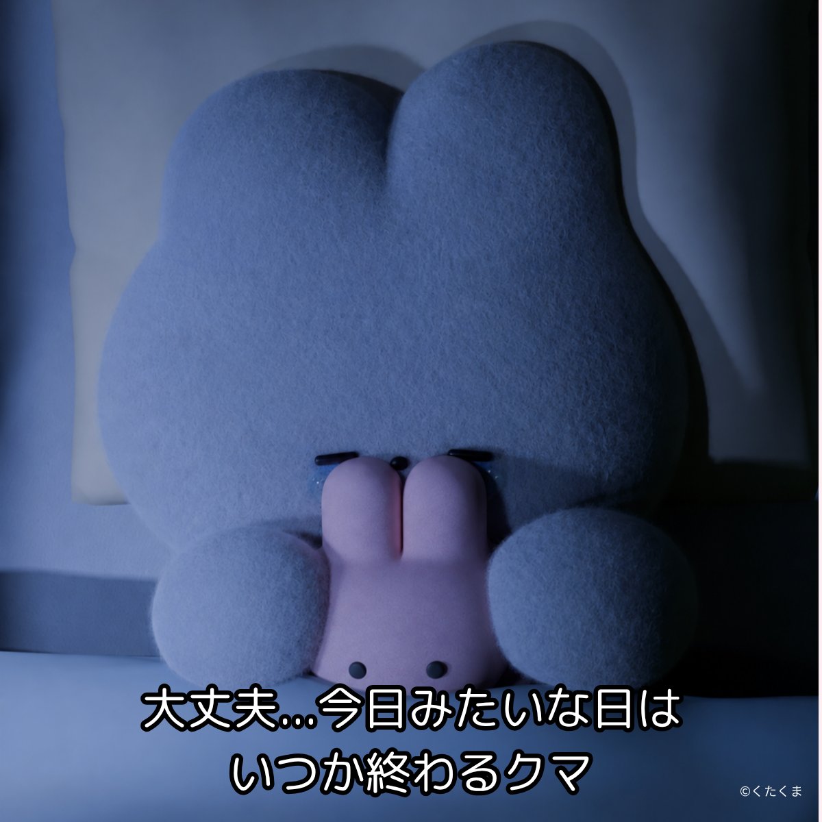 kutabire_kuma's tweet photo. 時が解決するっていうけど、今つらいんだから今助けてほしいんだクマ https://t.co/KpmQmXyJCh