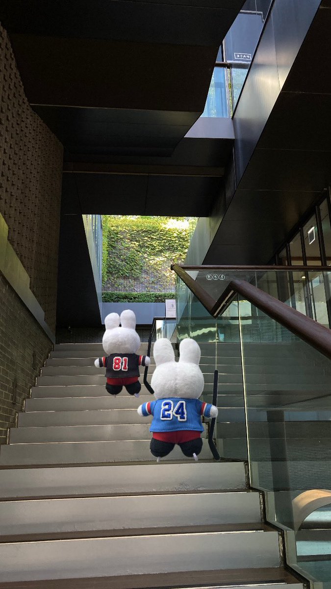 rolllout's tweet photo. 이번엔 남친이랑 왔다네요ㄷㄷㄷ https://t.co/0KqzP7it9j