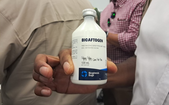 africanfarming_'s tweet photo. 💉 South Africa is set to receive 4.5 million more FMD vaccine doses as efforts to protect the national cattle herd continue. A new ordering platform is also giving farmers access to vaccines through a more streamlined process.

Find out how the new FMD vaccine ordering system works

👉🏾 https://t.co/h0H74hyXSc

#FMD #LivestockFarming #AnimalHealth #Agriculture

@redmeatsa  @MaileMatsimela2 

https://t.co/47NWFMIdnL