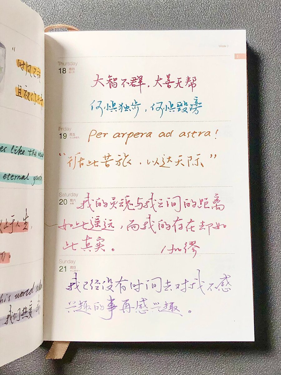Balancer1737's tweet photo. Master 1 new English collocation daily—small wins build big fluency! https://t.co/VoLGPYurm1