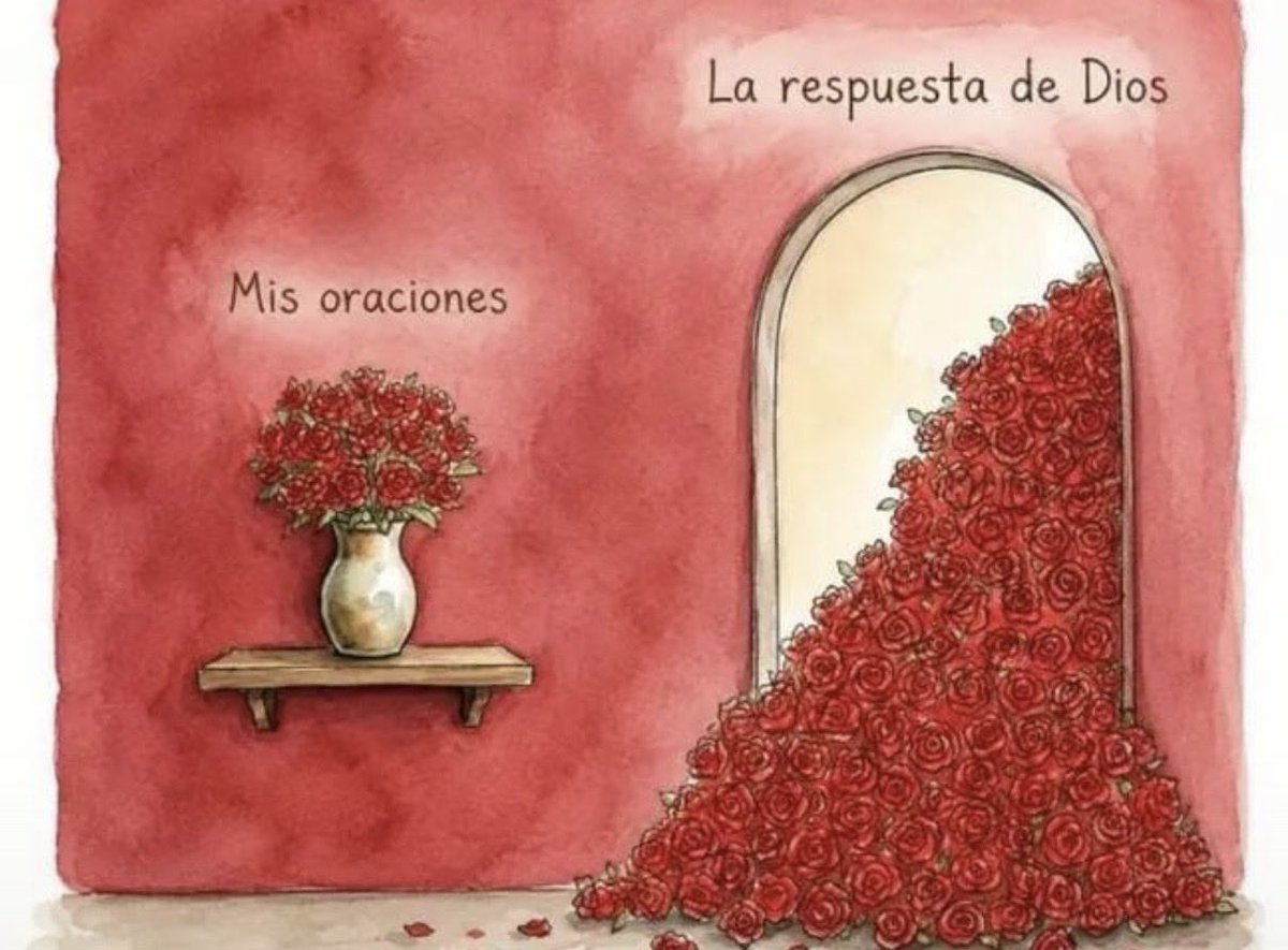 ID_Catolica's tweet photo. Gracias Señor 🙏🏻✨ https://t.co/pyP7dUtBsL