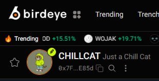 chillcathood's tweet photo. Chillcat in birdeye👀

https://t.co/DX4PdOrk2j https://t.co/PBQc2nuSmy