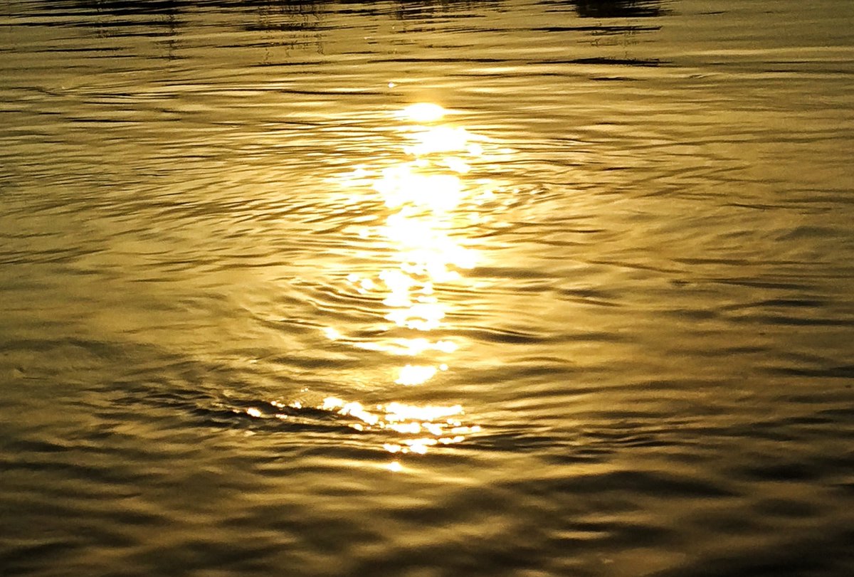 Urooj394's tweet photo. I love how sunlight sparkles over water ✨ https://t.co/g1sCpadVFZ