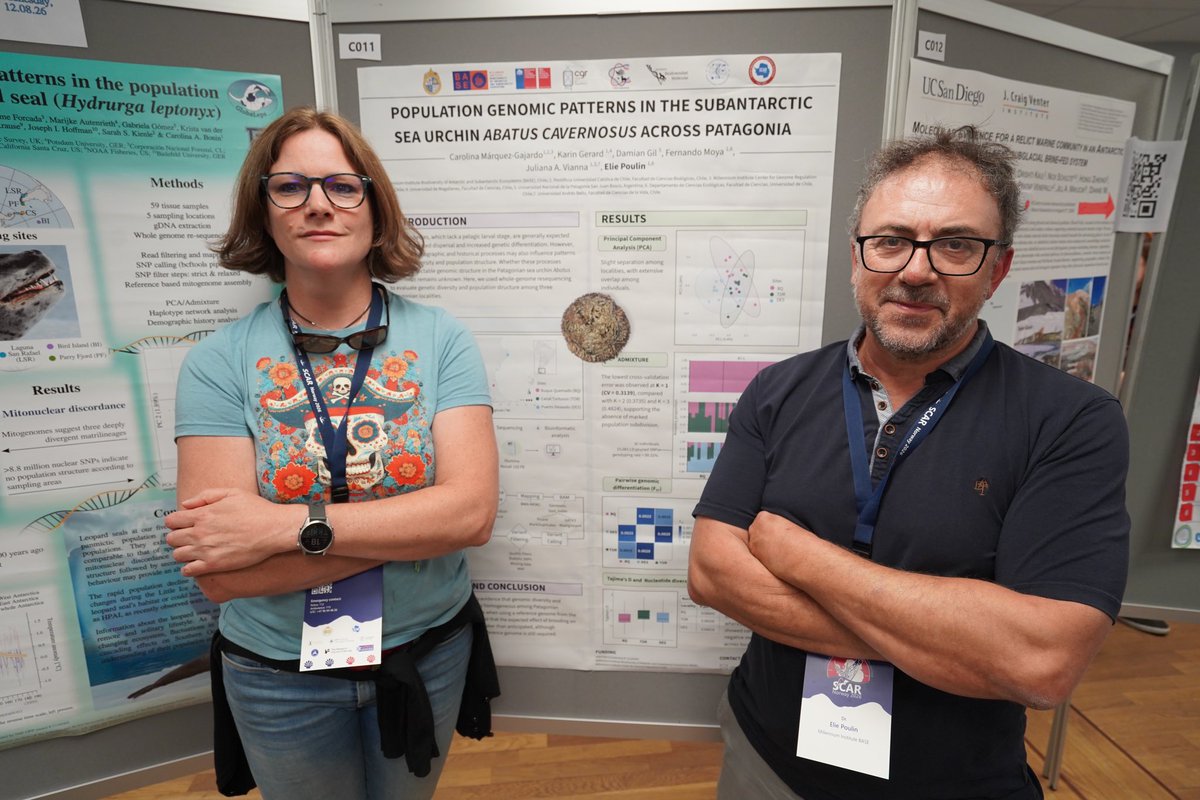 MilenioBASE's tweet photo. Noruega #SCAR2026 🇳🇴🇦🇶 Genética, genómica, olas de calor y gobernanza antártica, en la primera sesión de pósteres del Congreso Internacional de Ciencia Antártica @SCAR_Tweets 👏👏 Alta presencia de nuestro @MilenioBASE 

@ANID_Chile @min_ciencia https://t.co/FlRj2KmgbF
