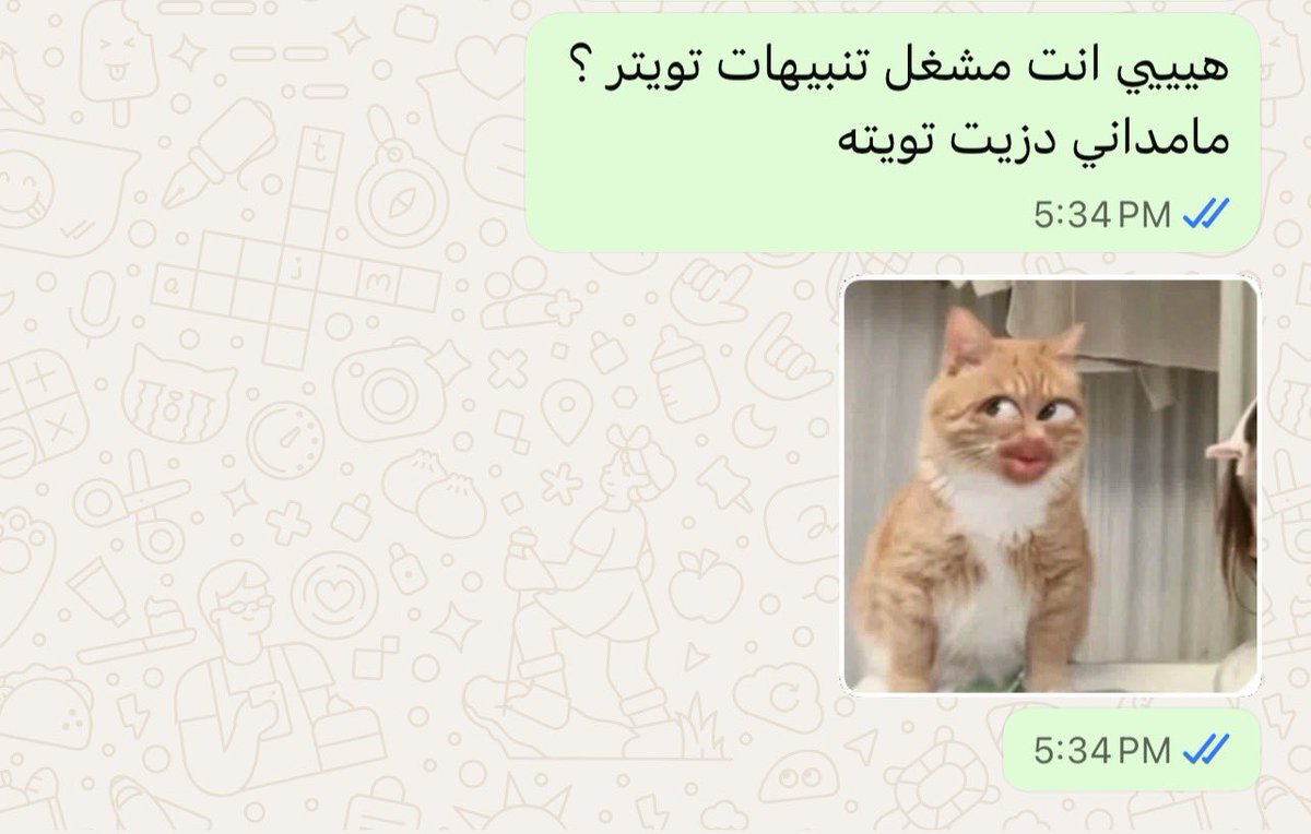 itsmoonzy91's tweet photo. الاهتمام المطلوب 🫰🏻🩵✨🧸 https://t.co/kB1DPaya05