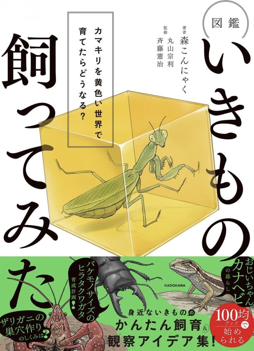 kunkunillust's tweet photo. 【お仕事のお知らせ】
#森こんにゃく さんの『図鑑 いきもの飼ってみた カマキリを黄色い世界で育てたらどうなる？』にて、一部イラスト（2,3枚目等）を担当しました！🦗📖
7/27から発売開始しておりますのでいまさらさらですが、ぜひご覧ください！
#KADOKAWA 

https://t.co/3cCIPQPaQw https://t.co/cMu9Q7JVxJ