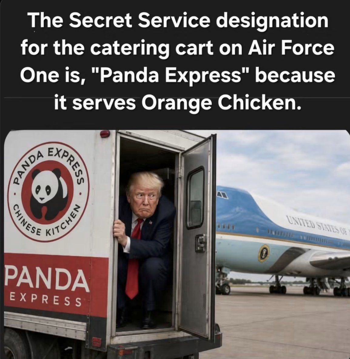bungadidle's tweet photo. @SethAbramson A closer look... https://t.co/p0CvznWur9