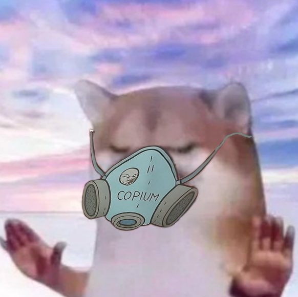 trustmebropls's tweet photo. Everyone who didnt $trust us https://t.co/M5FCp3O4Id