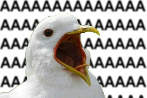 Grinderlak's tweet photo. @Spacekommander Ihr lasst euch so leicht trollen und das ist euer grösstes Problem. Die Trolle verbergen das ja nicht mal https://t.co/D45FptCXwo