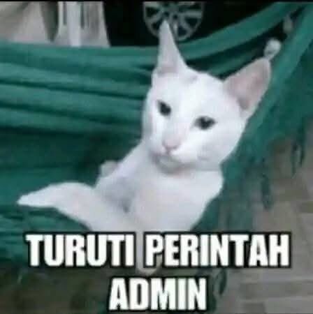 hamiind's tweet photo. @Persija_Jkt https://t.co/SC2zOP7uPg