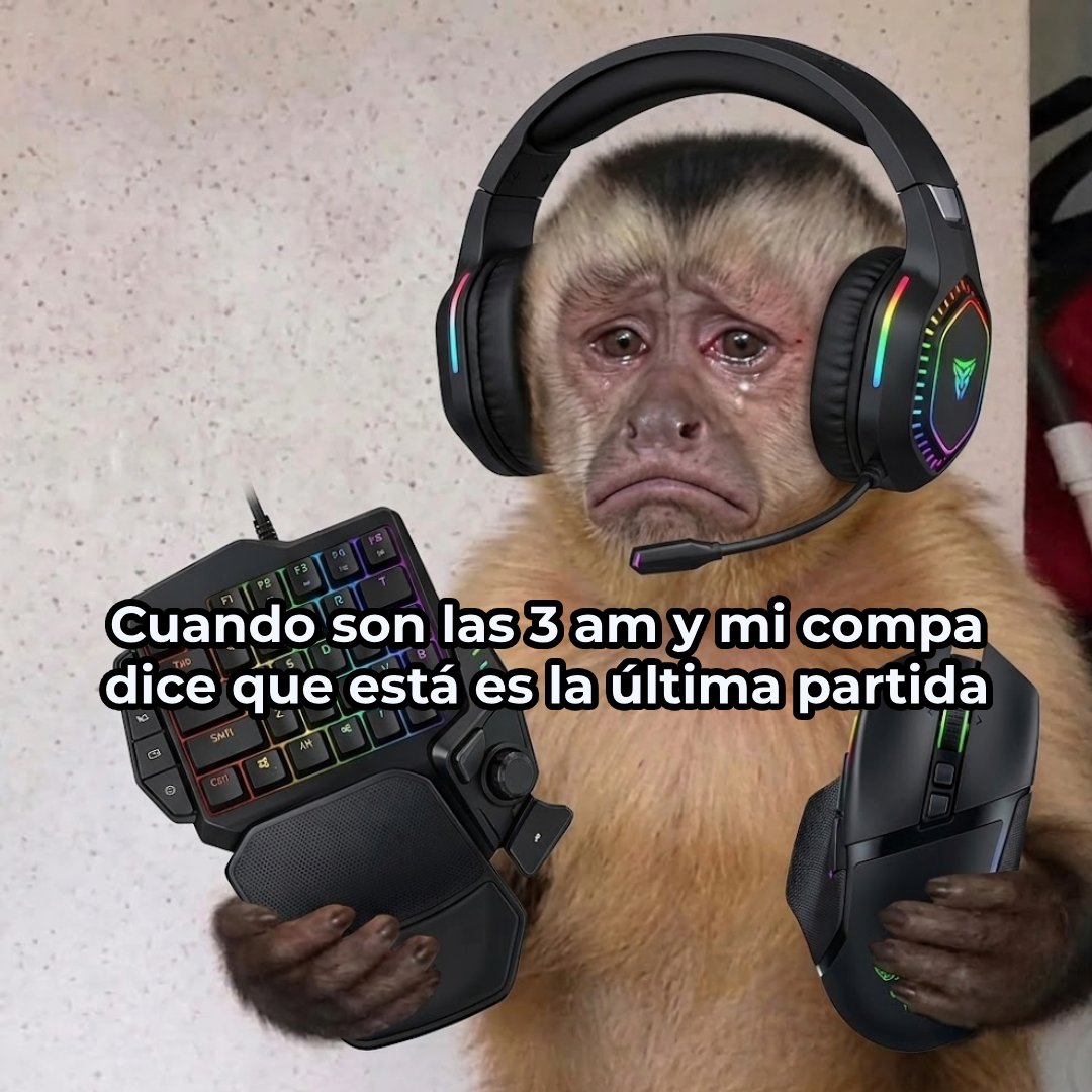 Cyberpuerta's tweet photo. No te vayas, sigue conmigo :(.
#Cyberpuerta #OneHand #Mouse #RAM https://t.co/A9TMQnLMra