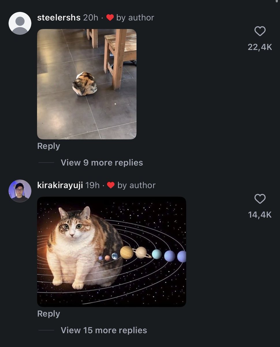 DeclanFogarty10's tweet photo. NEW CAT MEME GIF IS BLOWING UP ON INSTAGRAM

This cat Hapu (하푸) is blowing on Instagram rn, with 4M VIEWS in just a DAY. They have literally turned her into a MEME already.

The comments are filled with memes and some even have turned it into a GIF.

https://t.co/X2lAAInjpU