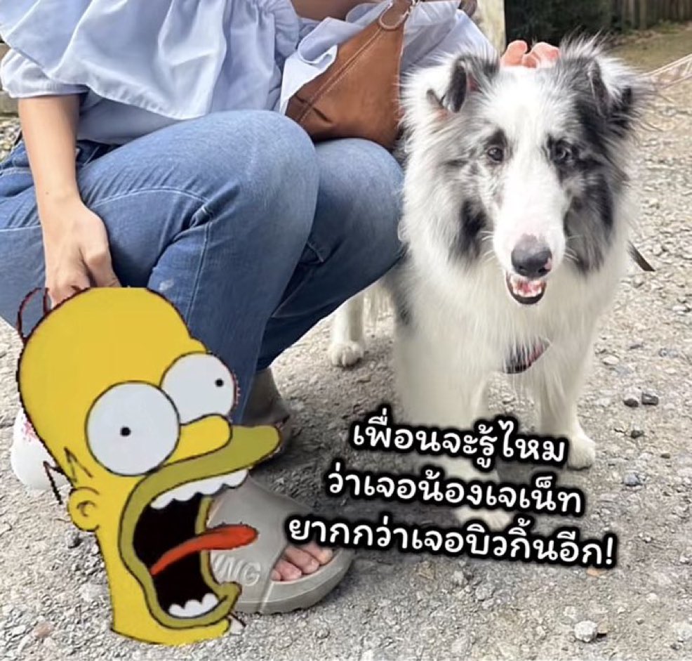 _poppy_only's tweet photo. ก็ถูกค่ะ🤣🤣🤣 
คุณหนูดาราคนนี้เจอยากมากค่ะ https://t.co/oS1Rjg5Qt2