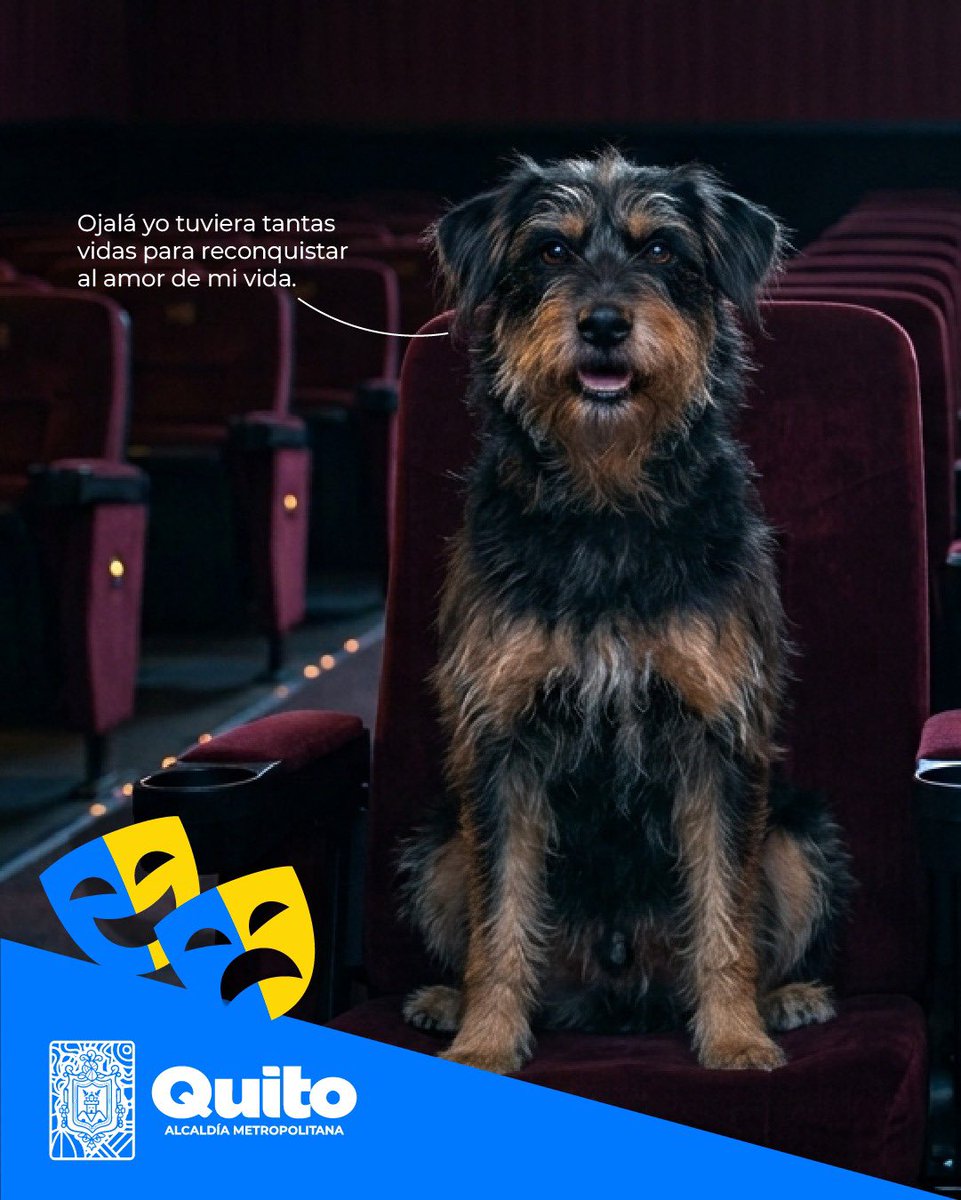 UBAQuito's tweet photo. 🎬🐾 #UBAEnEscena | Te invitamos a vivir un cine diferente, lleno de empatía, amor y respeto por los animales de compañía. 🫶

Si amas a los animales de compañía y quieres compartir una tarde especial, te esperamos este 14 de agosto a las 17:00 en el 📍barrio 20 de Mayo. https://t.co/I9m4N1Rk4o