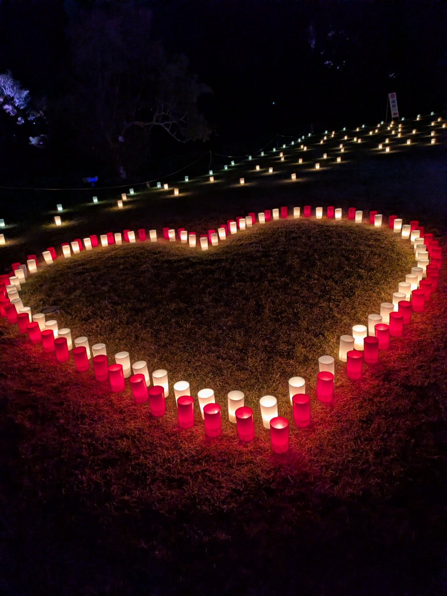 1967_jpn's tweet photo. Nara toukae 2026 https://t.co/LQVATEhVpA