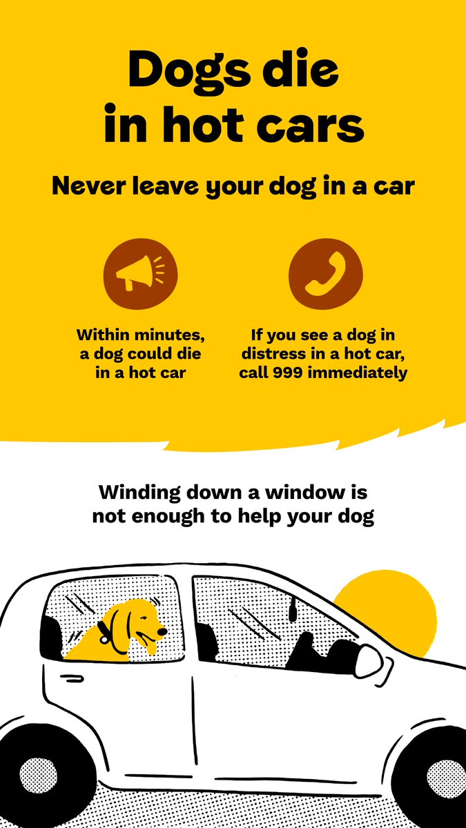 uartlach's tweet photo. ☀️Please take extra care of your dog during the hot weather.  

🐕You can find advice from The Dog's Trust below: 
https://t.co/oIATOuBTG9 https://t.co/kEXdi1wDeN