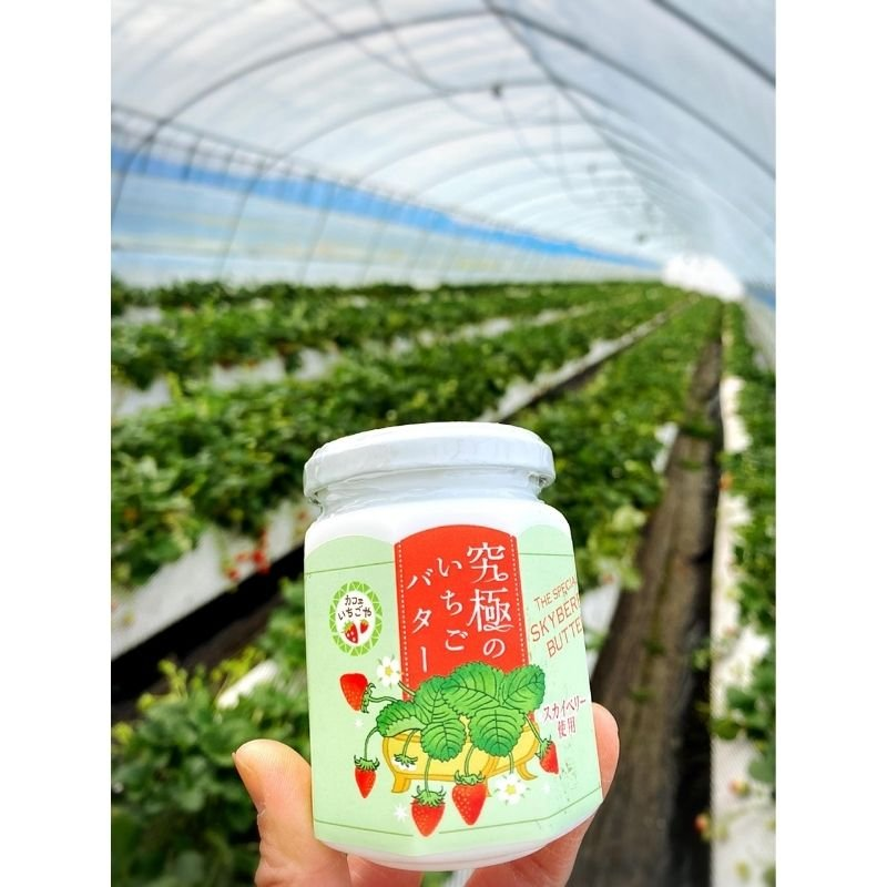 tsuku2jp's tweet photo. ＼今日は何の日？／
今日は #おいしいバターの日
究極のいちごバター🍓
スカイベリーを100％使用した究極のいちごバター✨
自然由来の甜菜糖を使用し、思わず瓶の中に顔をうずめ��くなるような、甘く優しい香りと究極の味をご堪能下さい🍓💕
#ツクツク #つくポチ #いちご
https://t.co/Zh40fUtXKf https://t.co/ab2slajOHN