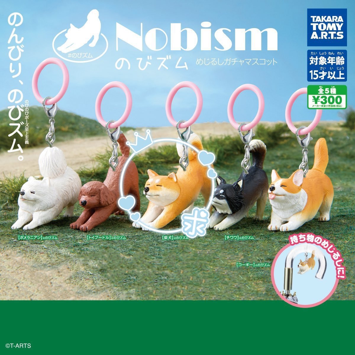ArejiGon's tweet photo. Nobism のびズム めじるしガチャマスコット 

譲→トイプードル、ポメラニアン、チワワ、コーギー

求→柴犬

郵送希望！ https://t.co/eYnOfZGuje