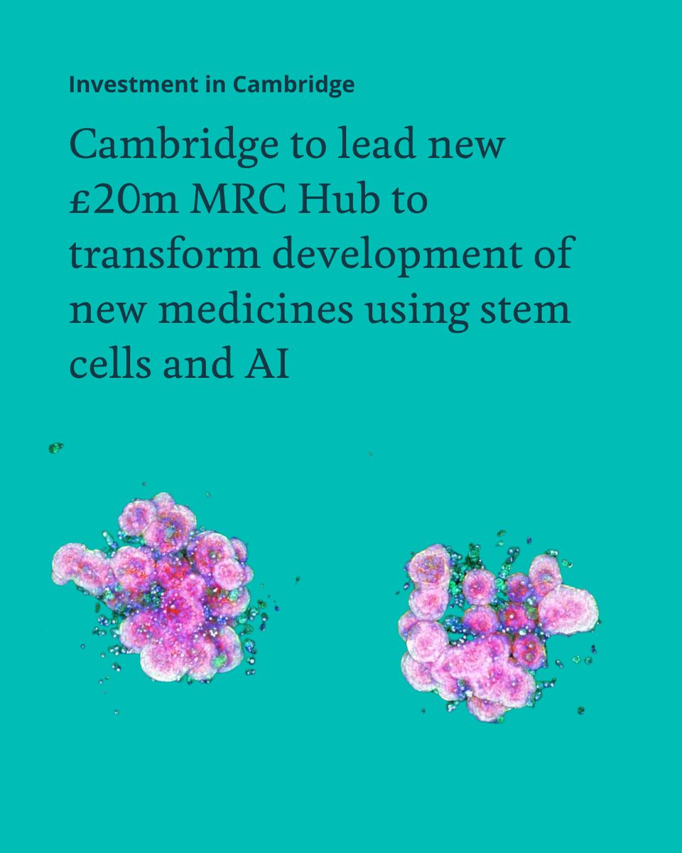 Cambridge_Uni's tweet photo. Cambridge is to lead a £20m @The_MRC Hub to transform the development of new medicines using stem cells and AI.

Led by the Cambridge Stem Cell Institute, it will develop alternatives to the use of animals in research 👉  https://t.co/7uahtkNqRq https://t.co/bNt6uYJeE0