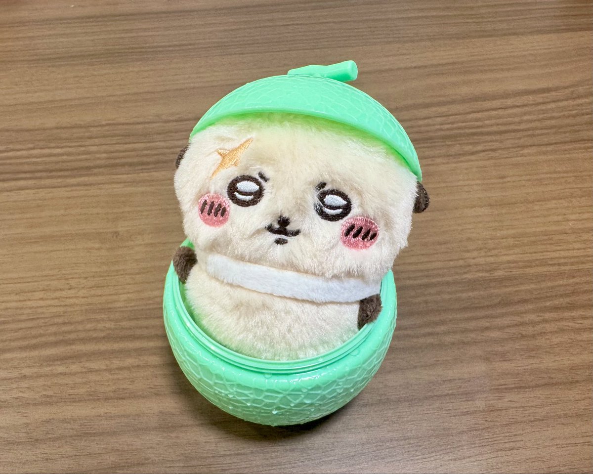 yukime0221's tweet photo. ラッコ先生、メロンだよ🍈 https://t.co/CCzZdgvCzW