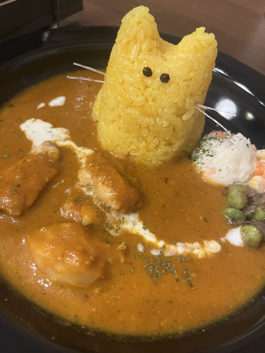 mameD_something's tweet photo. （ねこさまの）実家に帰省。コネコチャン達が人懐こ過ぎ＆疲れ知らずでびっくり〜😳 https://t.co/9r43pGAkoC