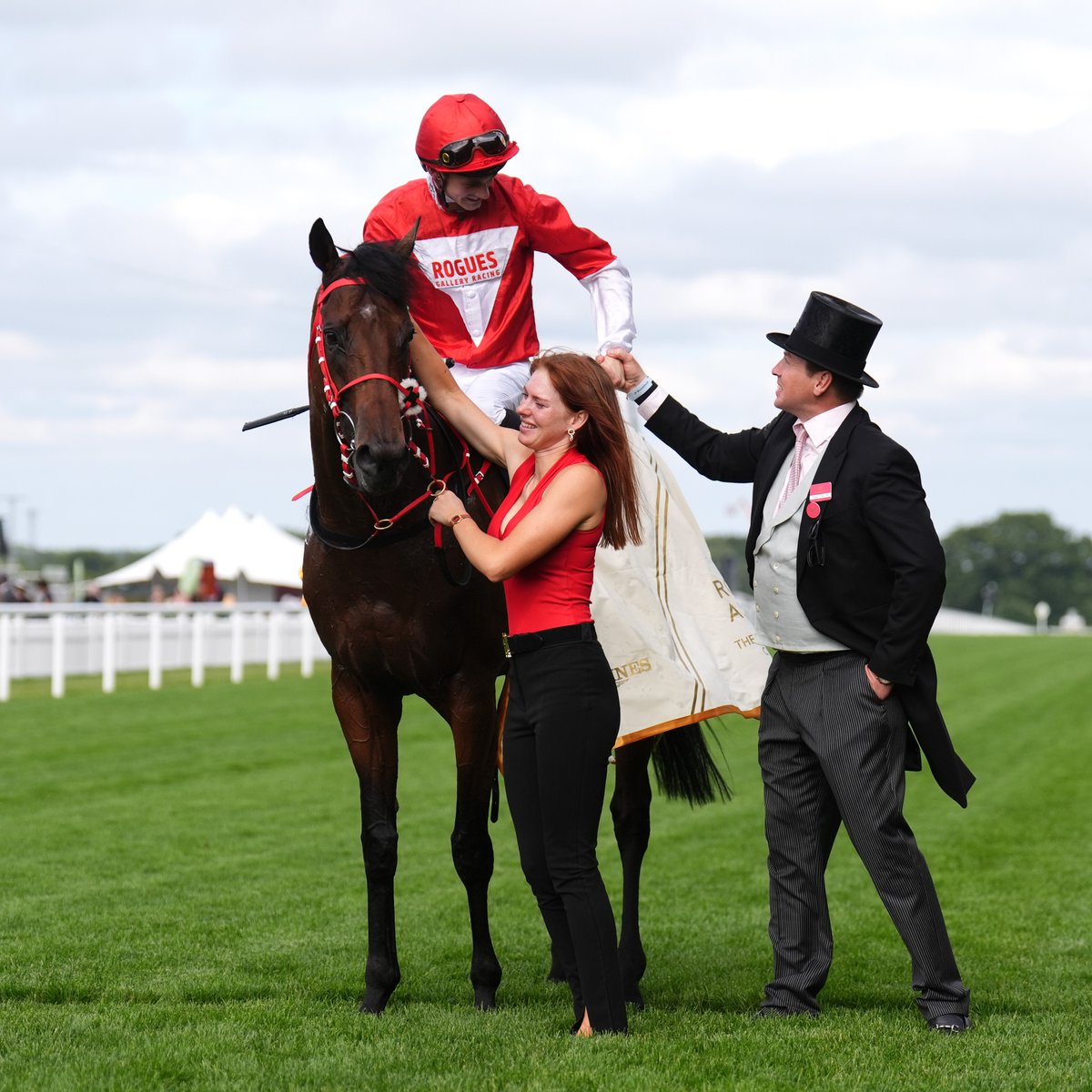 AtTheRaces's tweet photo. "I went away for a few days and when I got back he looked fantastic"

James Owen has some nice targets in mind for 'class' Rogue Diplomat...