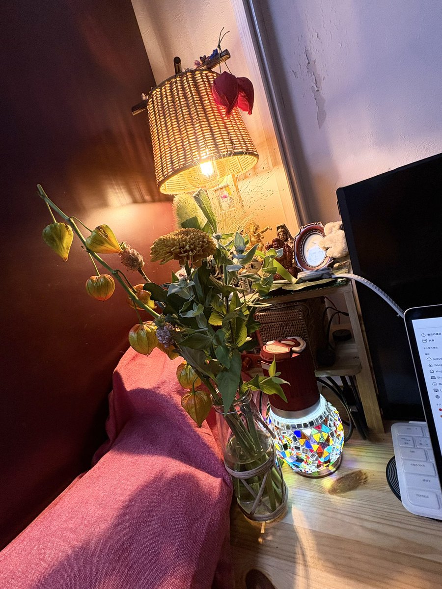 ss53rec's tweet photo. 今週のお花at俺の机　
壁の傷は猫ちゃんがつけました。
#rosett  #モノクロボーダーライン #花盛り https://t.co/W5ysUFjuJV