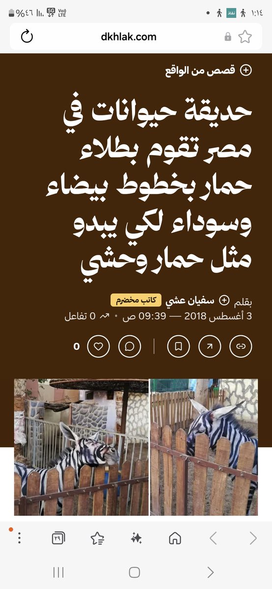 thend_x's tweet photo. @ibvs88 @Eyaaaad https://t.co/6E0EqojxdM