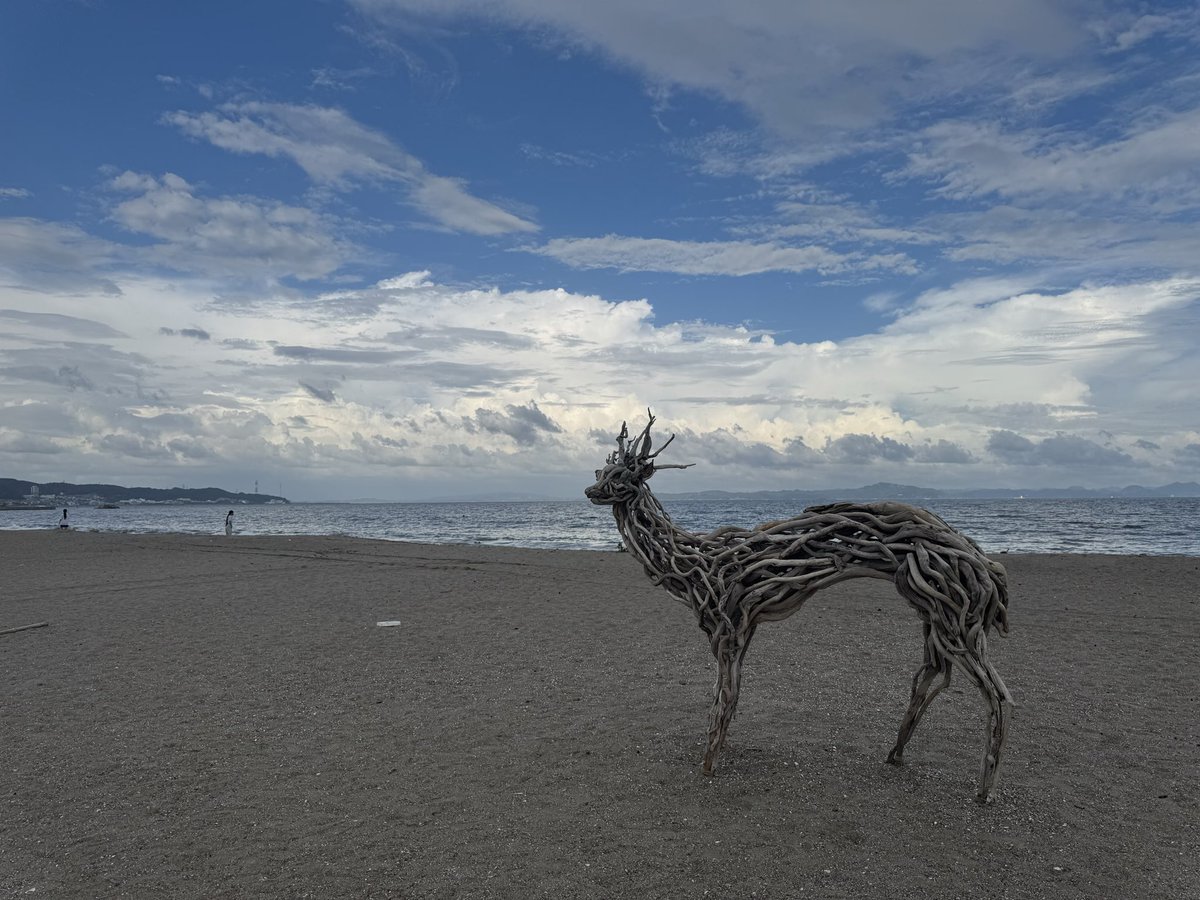 Roi6480's tweet photo. 三浦海岸になんかおしゃれなオブジェあった https://t.co/3xFpZDWFhu