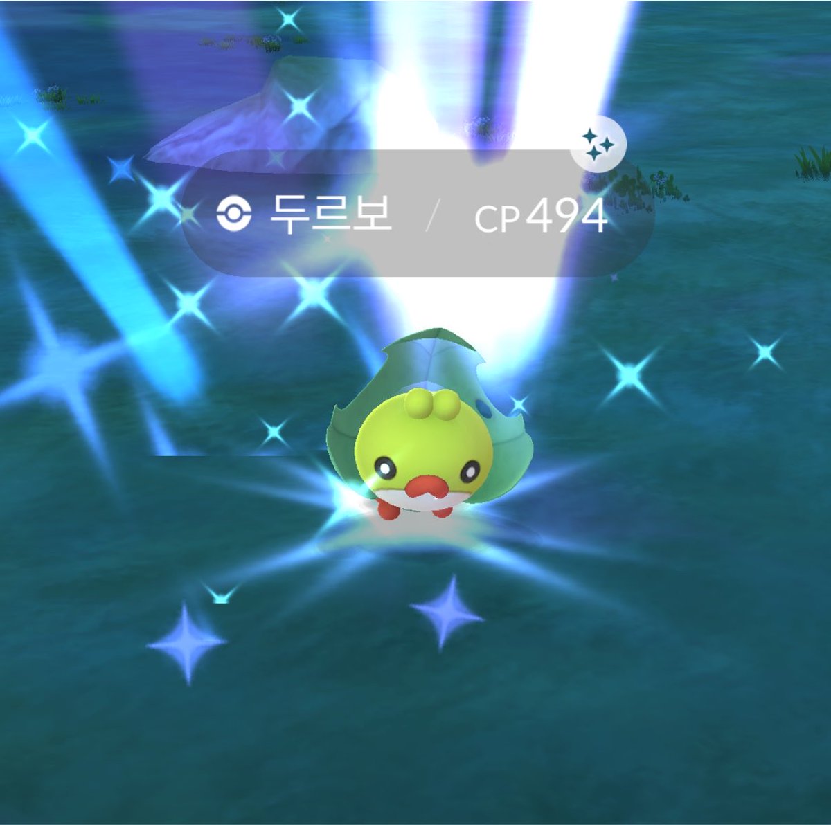 kkitosia's tweet photo. #ポケモンGO
#PokemonGO

전부 오늘 잡은 색이 다른 포켓몬! ✌️
저는 초록색과 노란색을 좋아한답니다🤭 https://t.co/iGHiTIN53Q