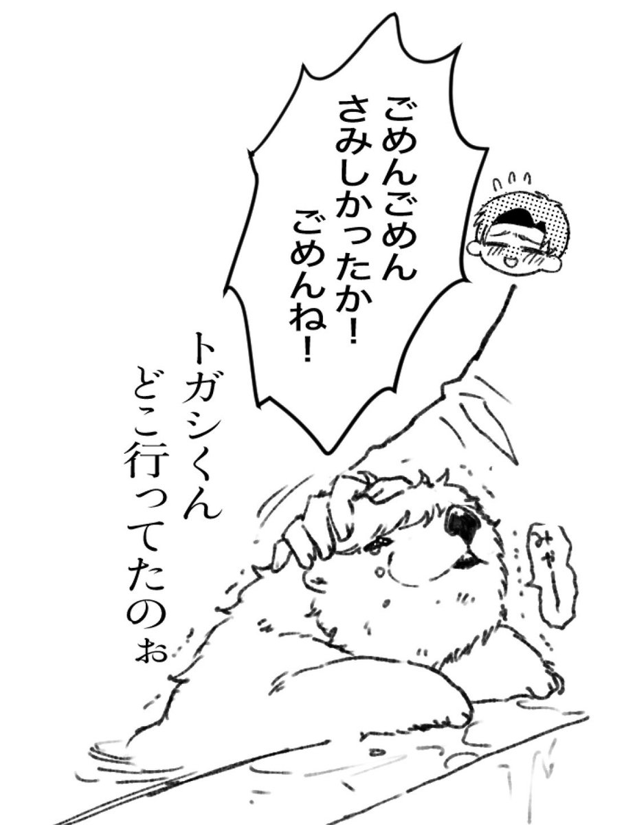 zugyanedogawa's tweet photo. 🦦宮くんとおかえり。 https://t.co/50ELoaXPcp