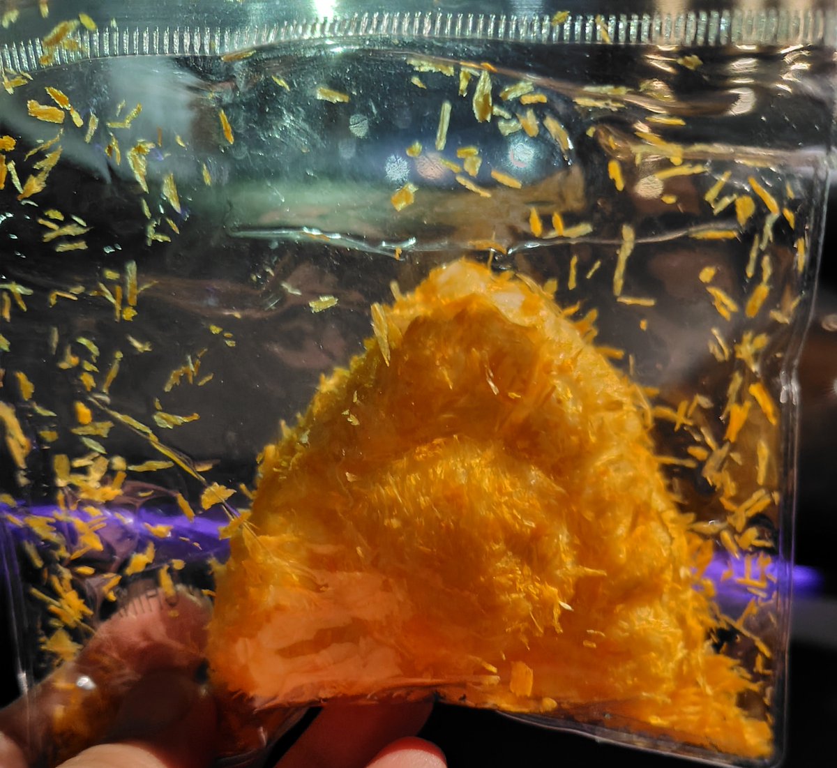 sakura_TSQ's tweet photo. 今日のクレ活✨
揚げ物！？
いいえ😊
スクイーズです(笑) https://t.co/Pts7ZG8O73