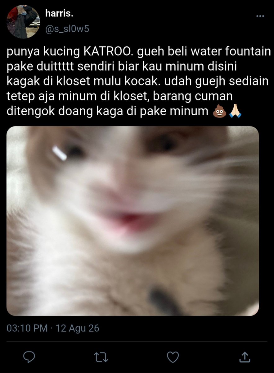 oddiettee's tweet photo. re-upload : ini lika liku harris mengurus misu dibantu oleh sefur meskipun saran mereka tidak berguna

#ginspired #harriscaine #storyon https://t.co/Qs5W5s8bzM