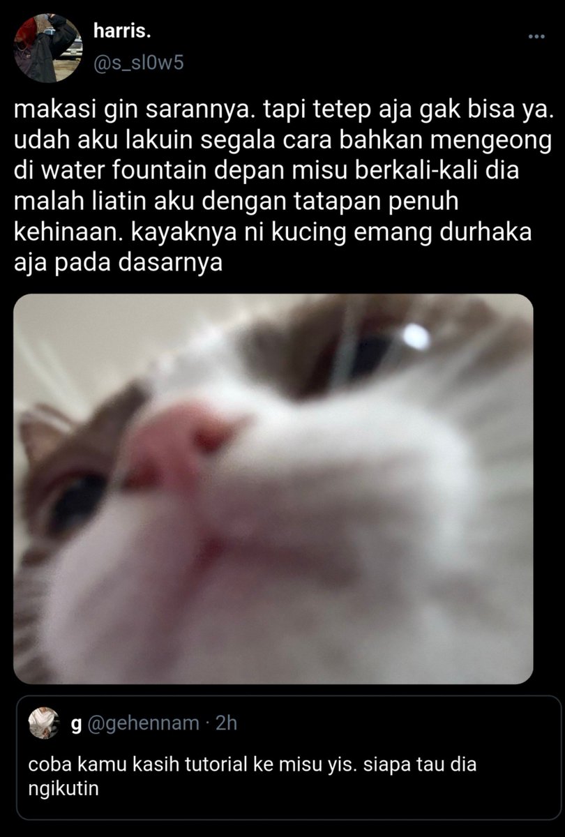 oddiettee's tweet photo. re-upload : ini lika liku harris mengurus misu dibantu oleh sefur meskipun saran mereka tidak berguna

#ginspired #harriscaine #storyon https://t.co/Qs5W5s8bzM