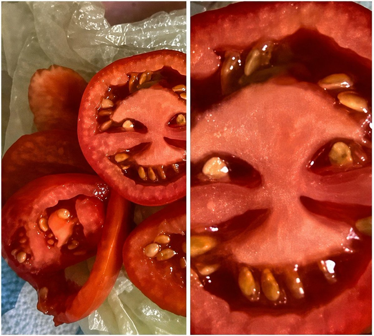 TheHinduQueen's tweet photo. Today I cut a tomato and it looked like this ..🙄😐 https://t.co/KYNxQs8cON