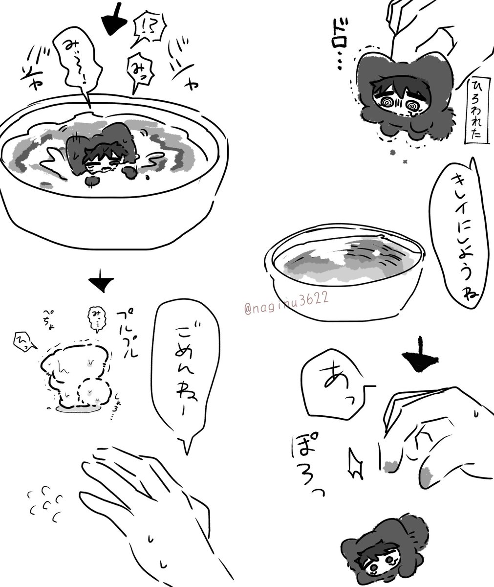 naginu3622's tweet photo. 💧がトラウマになったちみ https://t.co/zidb0zYyoD