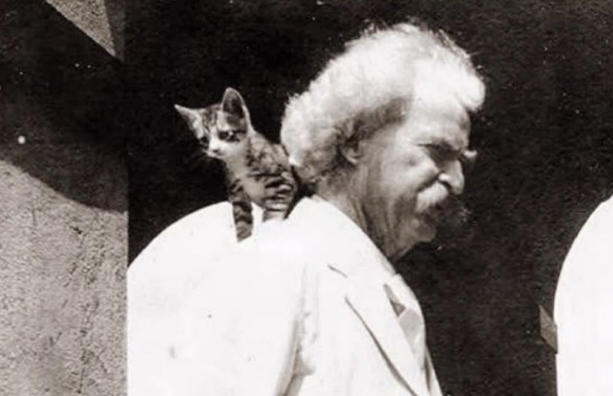 WordsnWisdom26's tweet photo. "When a man loves cats, I am his friend and comrade, without further introduction.”

— Mark Twain https://t.co/iomBQFAcY5