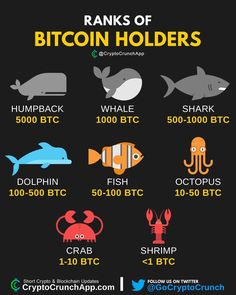 penetron200's tweet photo. https://t.co/Q2ZSOLYx8r
