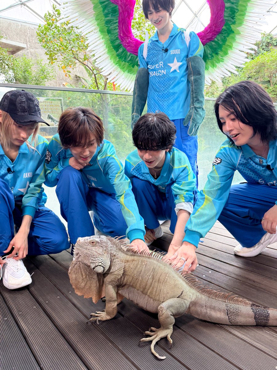 SupaQuestfuji's tweet photo. □─　─　─　─　─　─　─　─
　サンダードラゴン
　水族館でアルバイト
　最後のお裾分け写真です⚡️
─　─　─　─　─　─　─　─□
次回
💡8/15(土)26時05分から放送

#SUPERDRAGON #スパドラ
#スパクエ https://t.co/Ne6m8xqchO