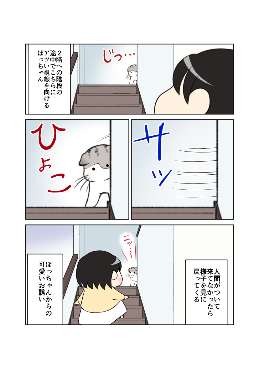 minatsucat's tweet photo. ひょっこりしちゃうねこ。 https://t.co/6USPMFh23X