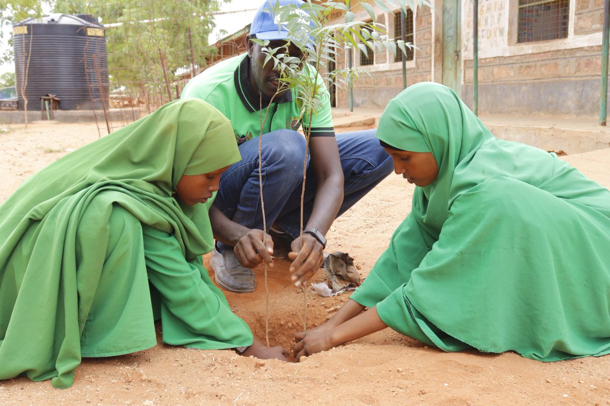 Goje1992Mohaa's tweet photo. Through my initiative green mandera I planted 1000 seedlings in aday as volunteer fire safety advocate and Environmental Ambassador.i didn't only planted seedlings I planted live that exist event on my departure on this World. https://t.co/sPxO5V4rrS