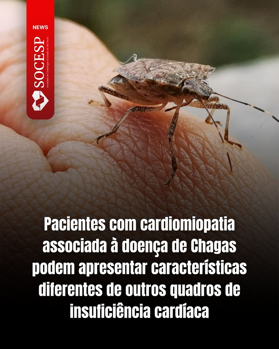 SocCardioESP's tweet photo. O estudo PARACHUTE-HF mostrou que essa população tem maior frequência de AVC e arritmias, mesmo com menor presença de fatores de risco cardiovasculares tradicionais.
Saiba mais: https://t.co/MJbg6dFSjT
#Cardiologia #DoençaDeChagas #AVC #Arritmias #InsuficiênciaCardíaca https://t.co/SEfQVtxHR3